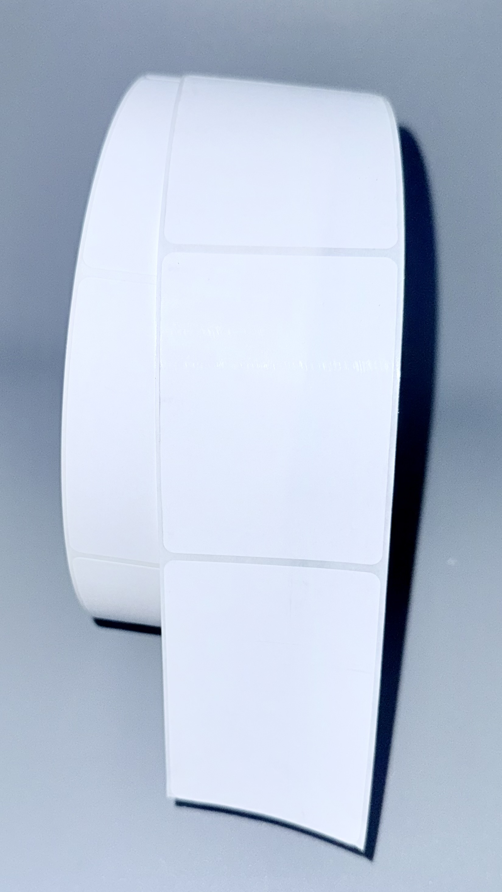 Toledo large roll blank labels